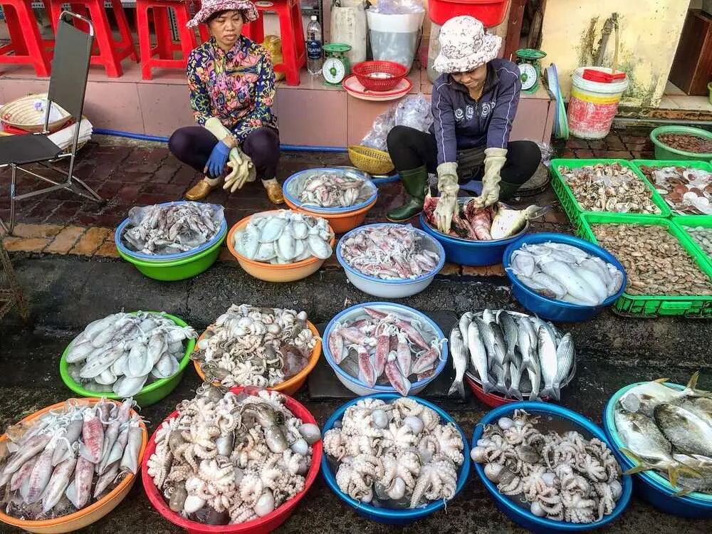 Chợ hải sản Nhơn Hải với những con cá, mực, ốc tươi ngon được bày bán