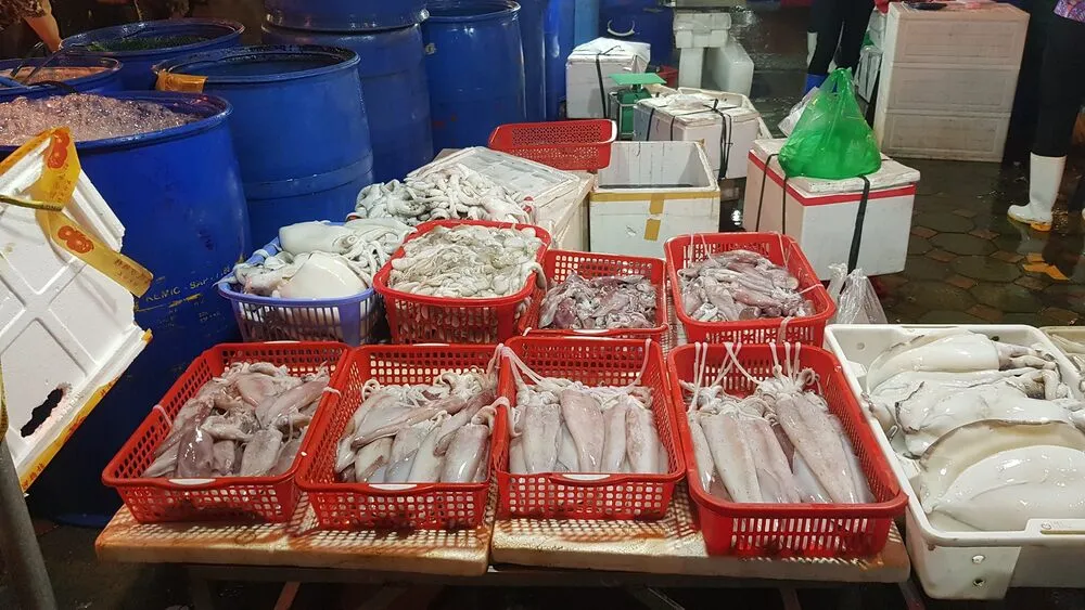 Chợ hải sản Nhơn Lý với sản phẩm mới đánh bắt từ biển tươi ngon