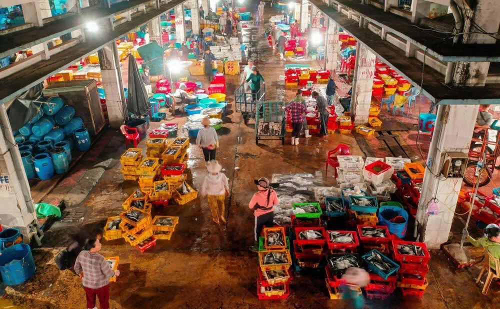 Cảng cá Hàm Tử tấp nập tàu thuyền vào ra, hải sản được bốc dỡ trên bến