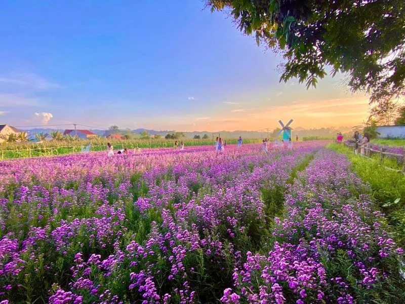 Vườn hoa Đình Đắc