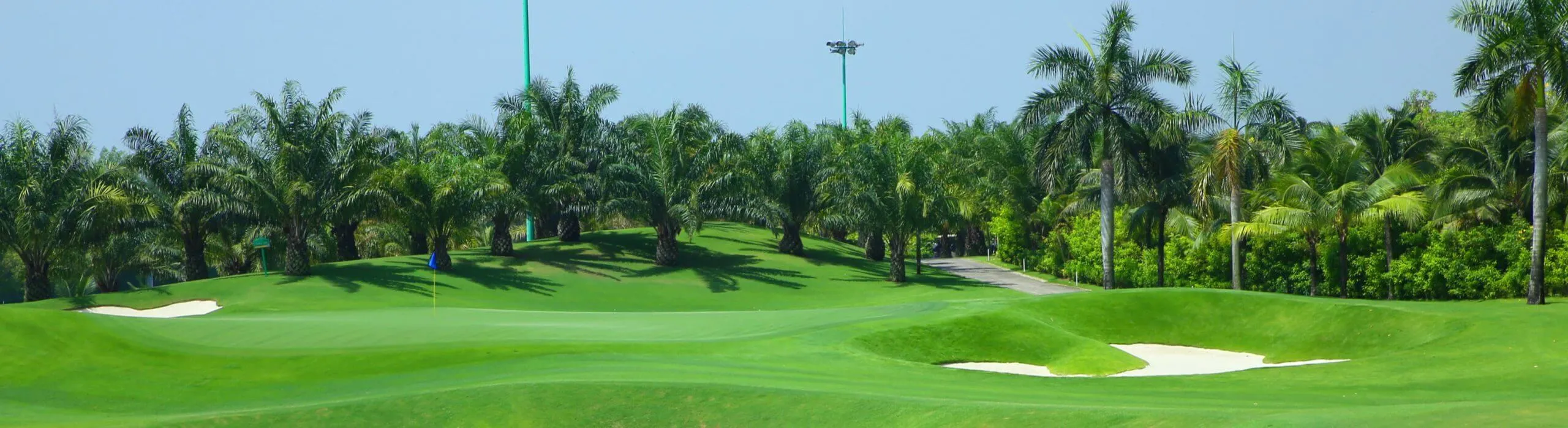 banner section why scaled