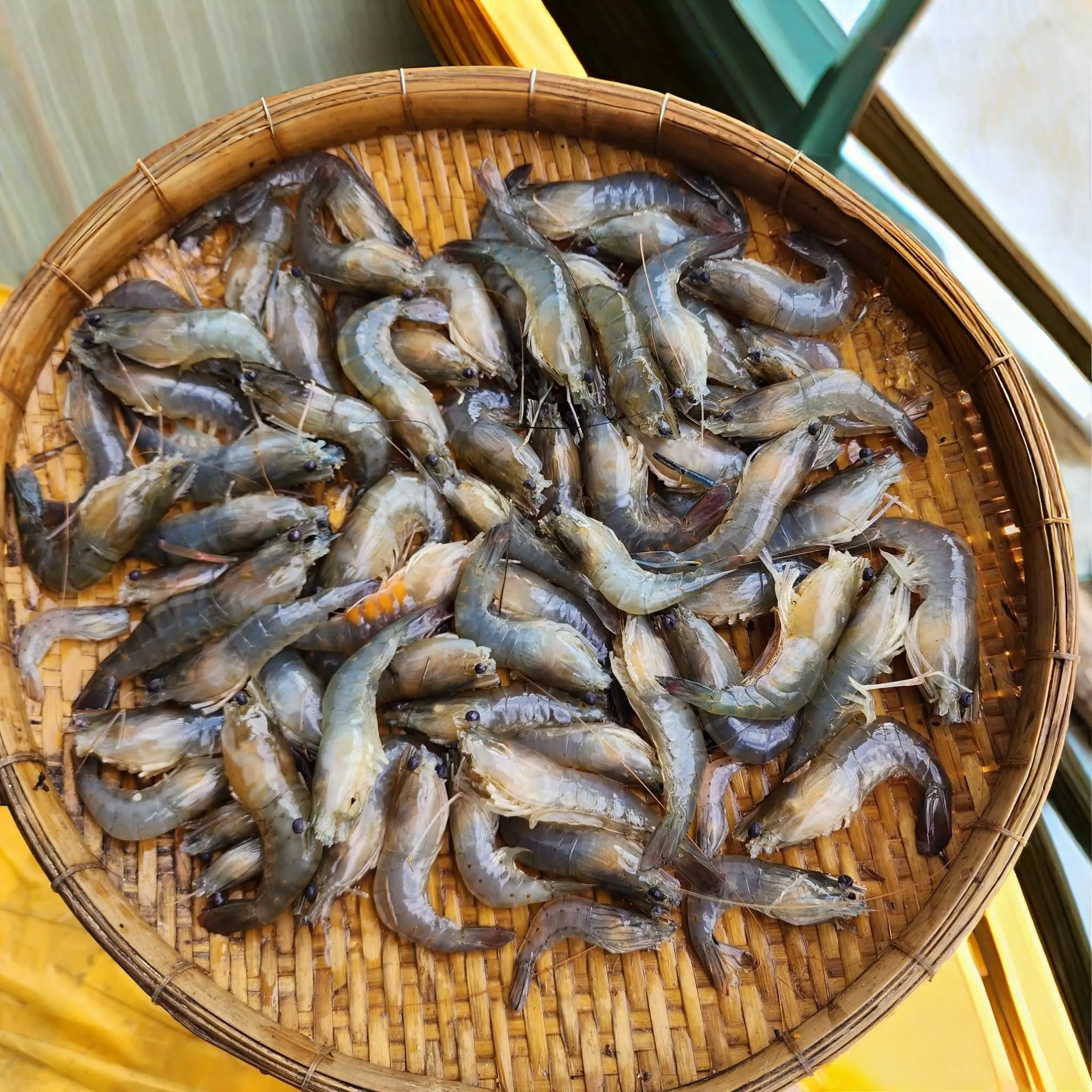 Vựa hải sản tươi sống tại Quận Gò Vấp TP.HCM