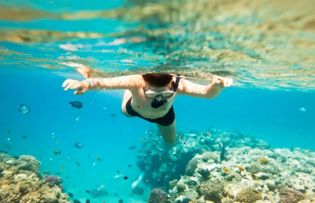 Khách sạn Côn Đảo - ngắm san hô